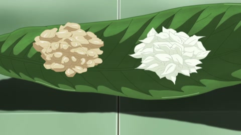 Dr. Stone: New World Episodio 9