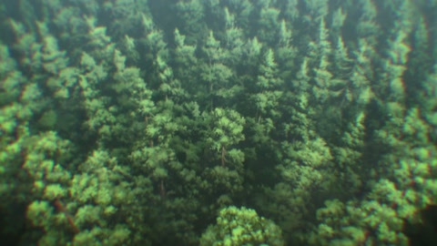 Dr. Stone: Science Future Episodio 4