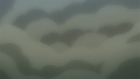 Fairy Tail (2014) Episodio 21