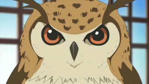 Fumetsu no Anata e Episodio 13