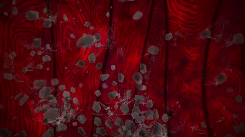 Gachiakuta Episodio 11