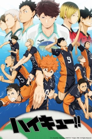 Ver Haikyuu!! online gratis