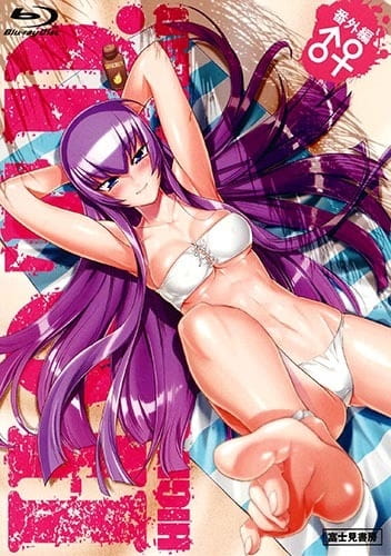 Portada de Highschool of the Dead: Drifters of the Dead