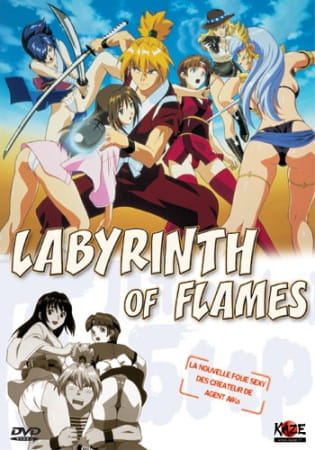 Portada de Honoo no Labyrinth