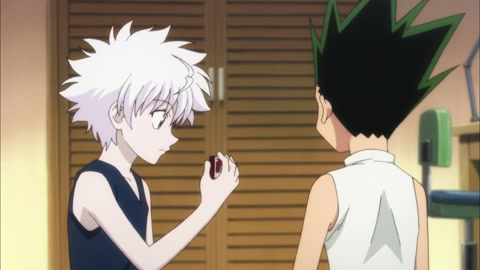 Hunter x Hunter (2011) Episodio 23