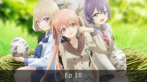 Kakkou no Iinazuke Episodio 18