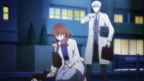 Koori Zokusei Danshi to Cool na Douryou Joshi Episodio 11