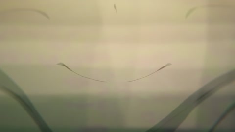 Na Nare Hana Nare Episodio 10