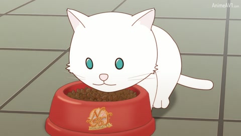 Nijiyon Animation 2 Episodio 9