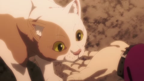 Nyaight of the Living Cat Episodio 12