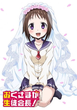 Portada de Okusama ga Seitokaichou!