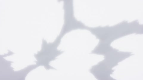 Ore dake Level Up na Ken 2nda Temporada: Arise from the Shadow Episodio 10