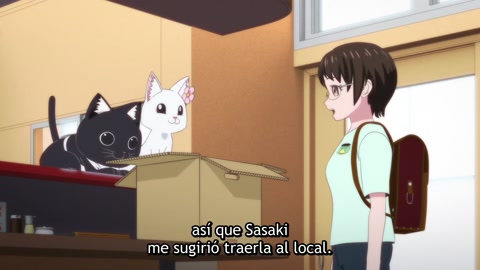 Ramen Akaneko Episodio 7