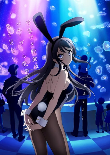 Portada de Rascal Does Not Dream of Bunny Girl Senpai