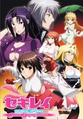Portada de Sekirei: Pure Engagement