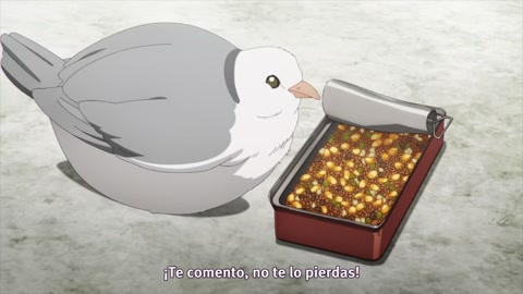 Spy Kyoushitsu Episodio 5