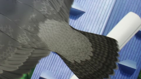 Spy x Family Movie: Code: White Episodio 1