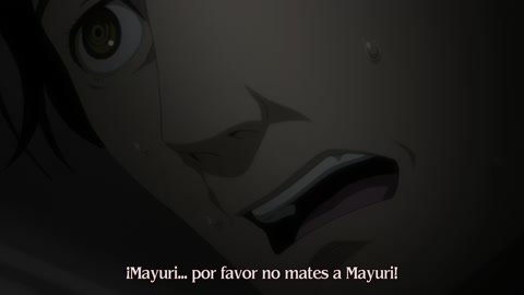 Steins;Gate Episodio 13