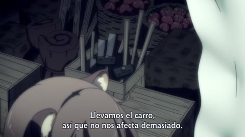 Tate no Yuusha no Nariagari 2nda Temporada Episodio 8