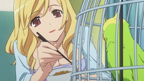 Toradora! Episodio 22