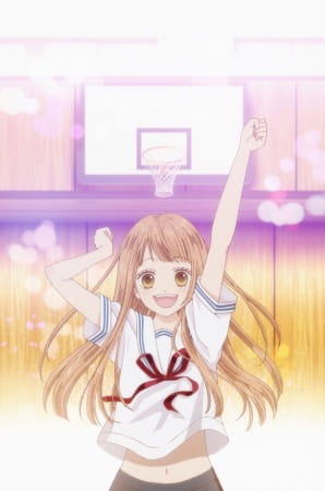 Portada de Tsubasa to Hotaru